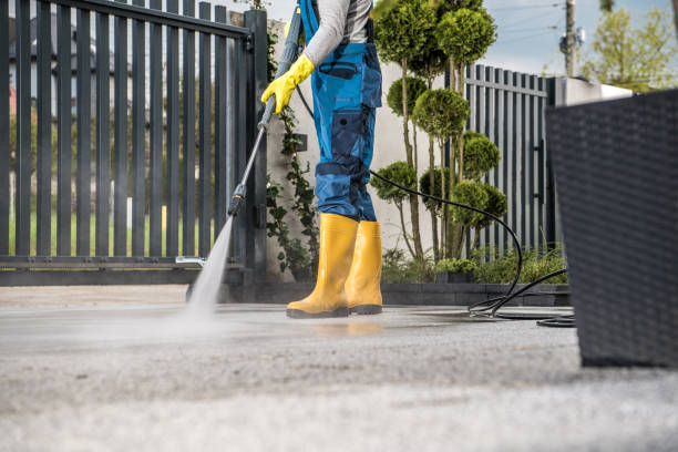 Best Dumpster Area Cleaning  in Enochville, NC
